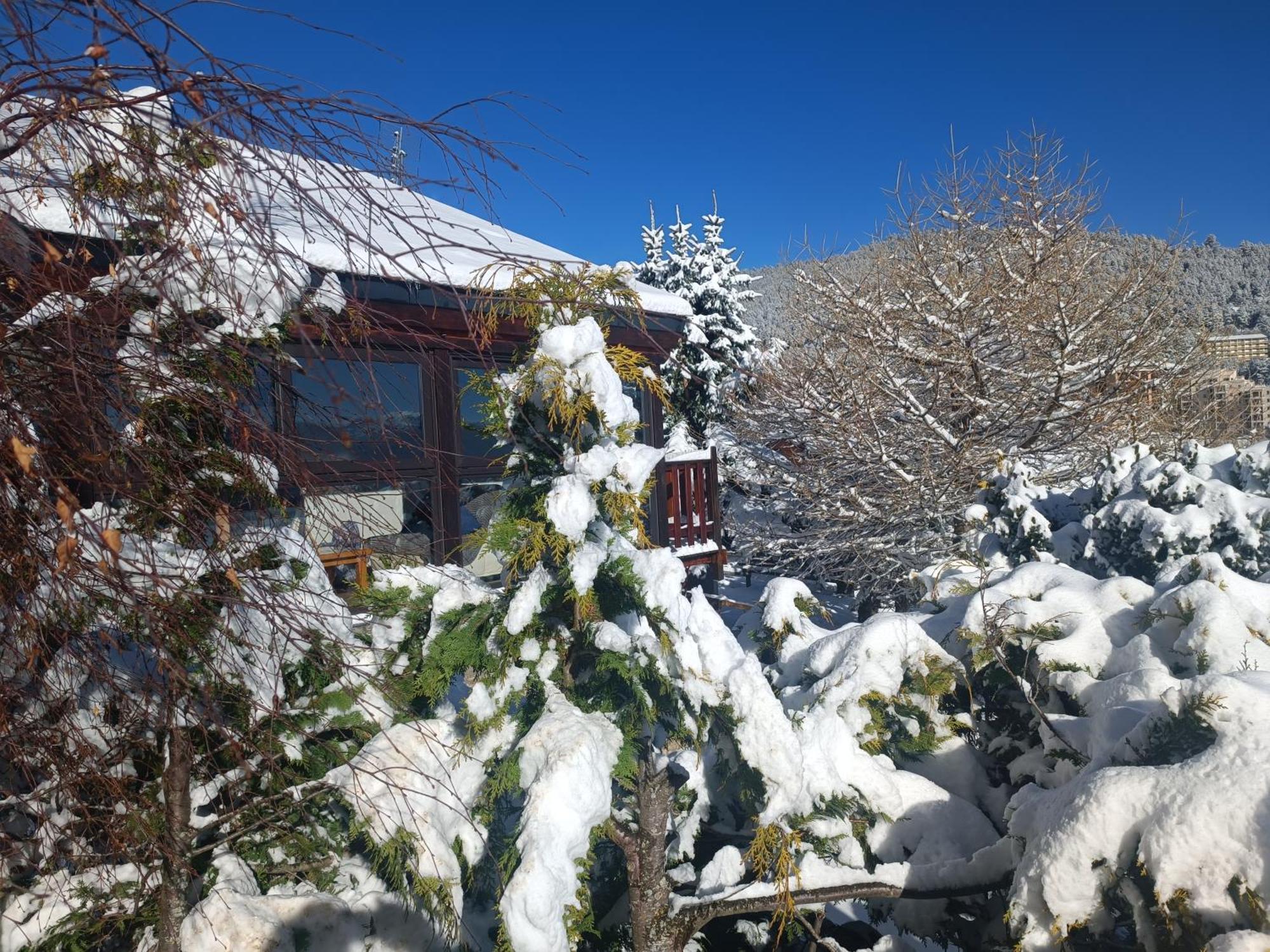 Chalet Pres Des Pistes Avec Vue Panoramique Les Angles  Εξωτερικό φωτογραφία